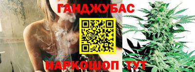гидра Моздок