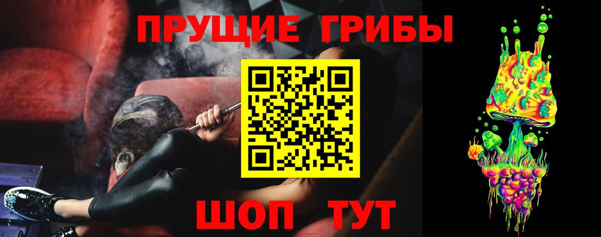 Псилоцибиновые грибы Psilocybine cubensis Амурск