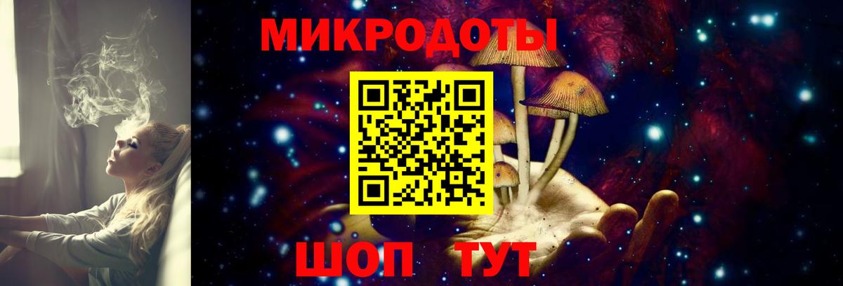 Псилоцибиновые грибы мухоморы  Псилоцибиновые грибы Psilocybe  Амурск  Вход с VPN 